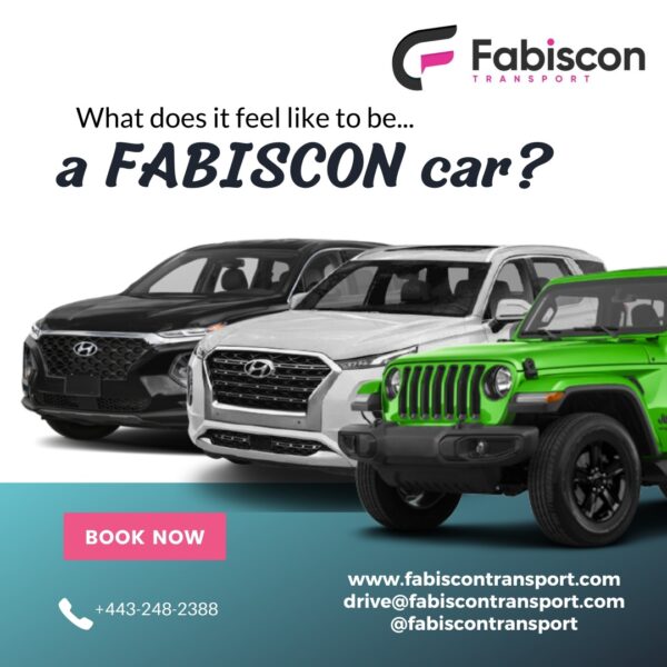 WHAT DOES IT FEEL LIKE TO BE A FABISCON CAR?